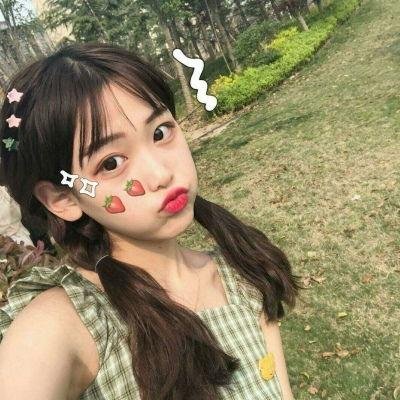 星际狗狗